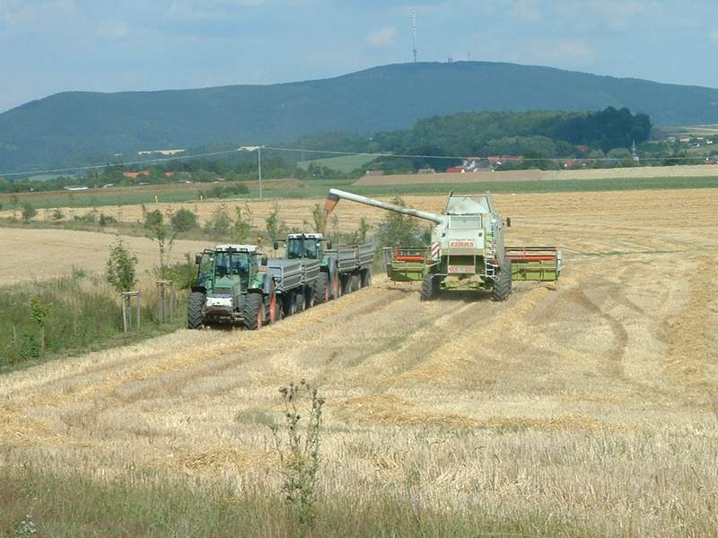 bilder/19_7_2003/lexion_+_2x_fendt_824.jpg