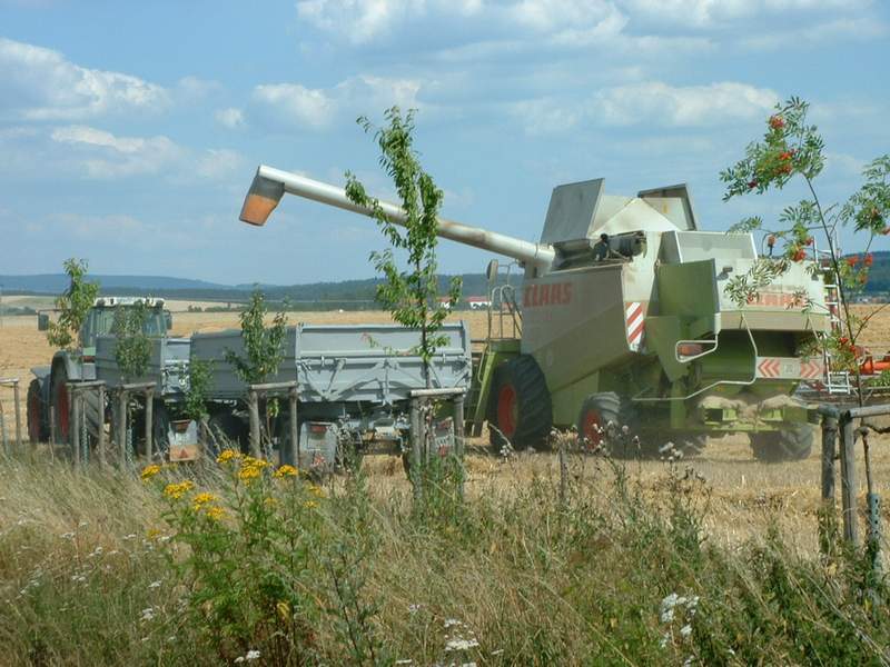 lexion_+_fendt_824_2.jpg