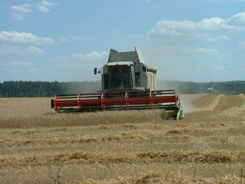 lexion_+_mega.jpg