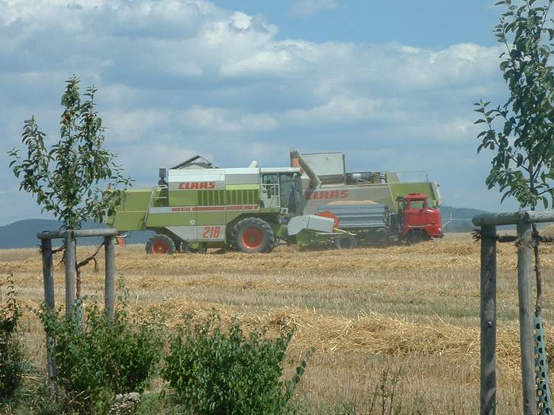 lexion_+_mega_+_w50.jpg