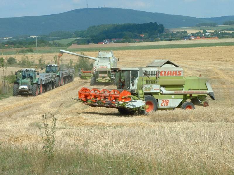 lexion_+_mega_2x_fendt_824_2.jpg