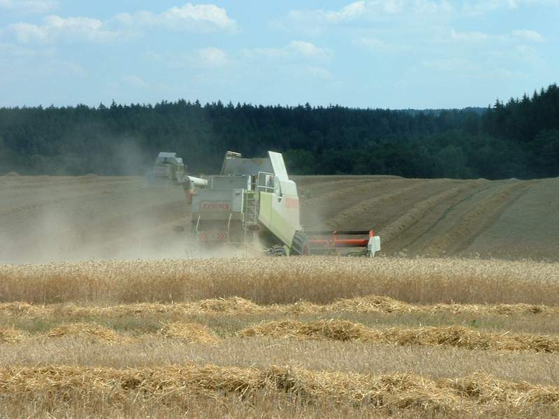 lexion_+_mega_4.jpg