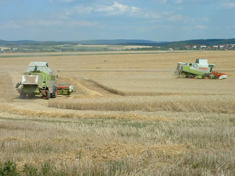 lexion_+_mega_6.jpg