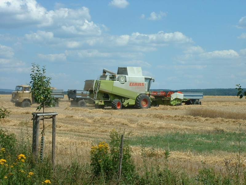 lexion_+l60_+_w50_2.jpg