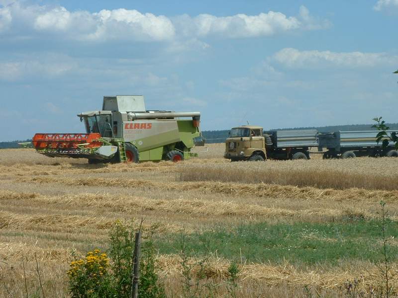 lexion_+w50.jpg