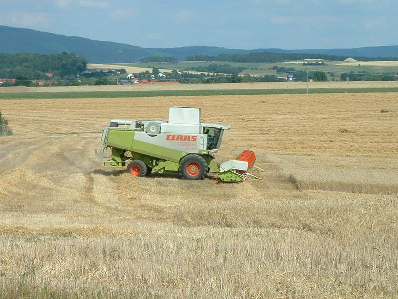lexion_10.jpg