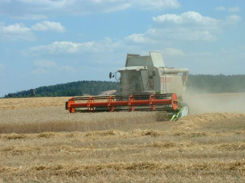 lexion_3.jpg