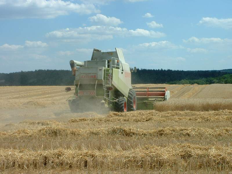 lexion_5.jpg