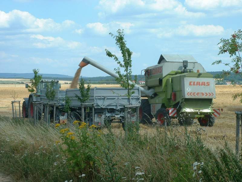 bilder/25_9_2002_2/fendt_824_11.jpg