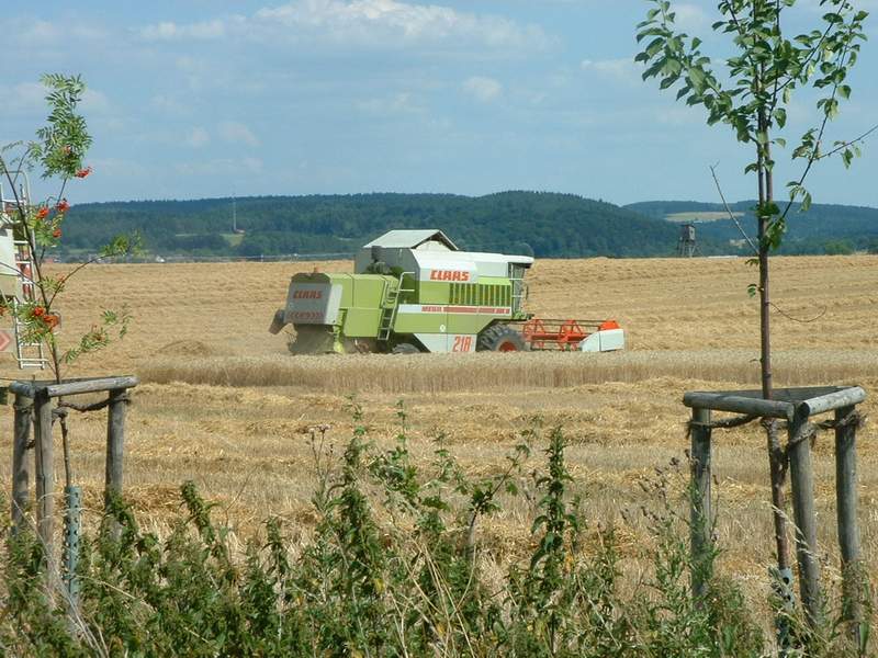 bilder/4_10_2007/IMGP3255.jpg