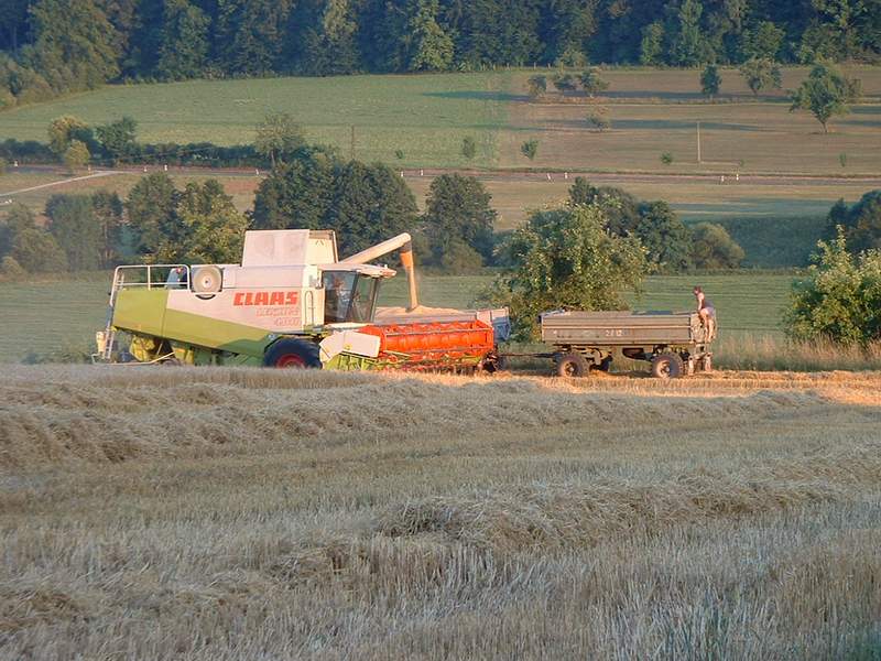 lexion_+_fendt_824_4.jpg