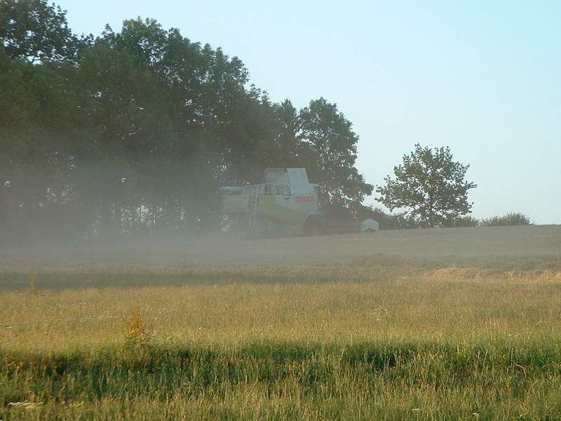 bilder/7_7_2017/DSC08645.jpg