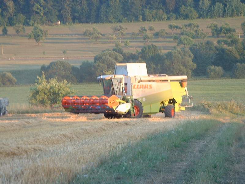 bilder/19_7_2003_2/lexion_8.jpg