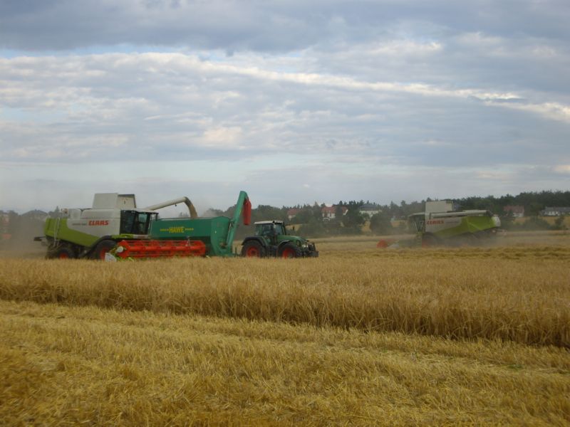 bilder/2024_07_30_2/DSC08700.jpg