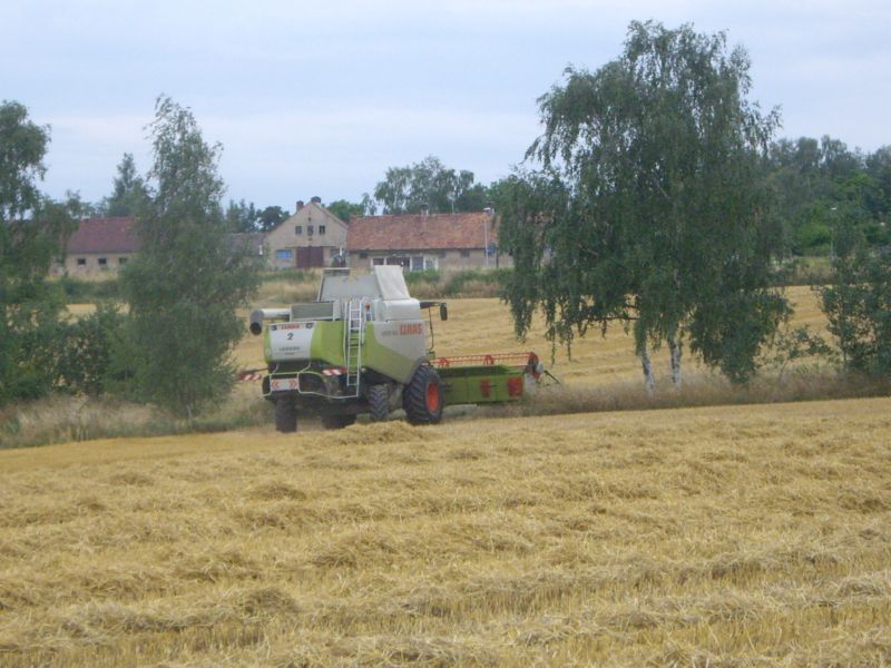 IMGP0617.jpg
