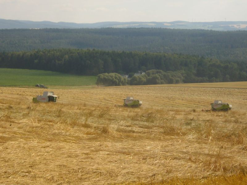 bilder/7_6_2004/jaguar_fendt_17.jpg