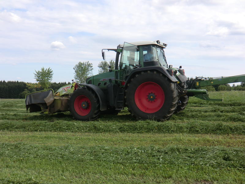 bilder/6_9_2014/CIMG7966.jpg