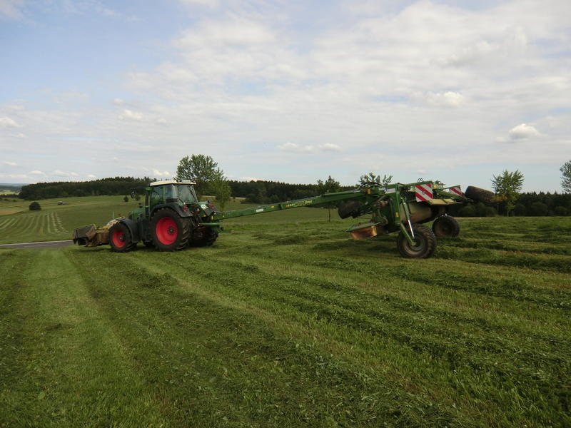 bilder/19_7_2011/CIMG3300.jpg