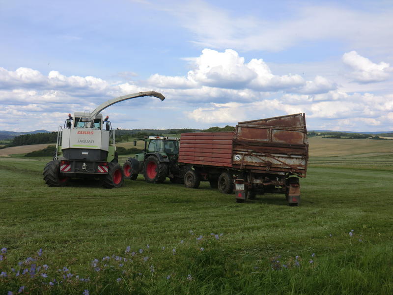 bilder/19_7_2011/CIMG3307.jpg