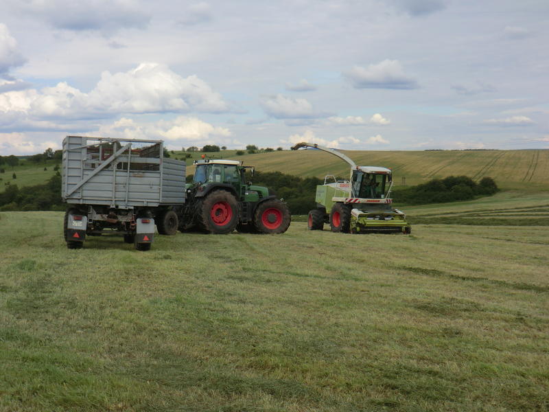 bilder/19_7_2011/CIMG3336.jpg