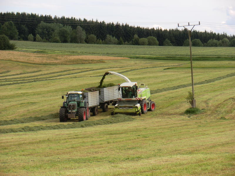 bilder/19_7_2011/CIMG3346.jpg