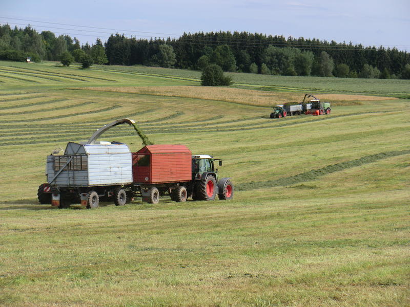 bilder/19_7_2011/CIMG3358.jpg