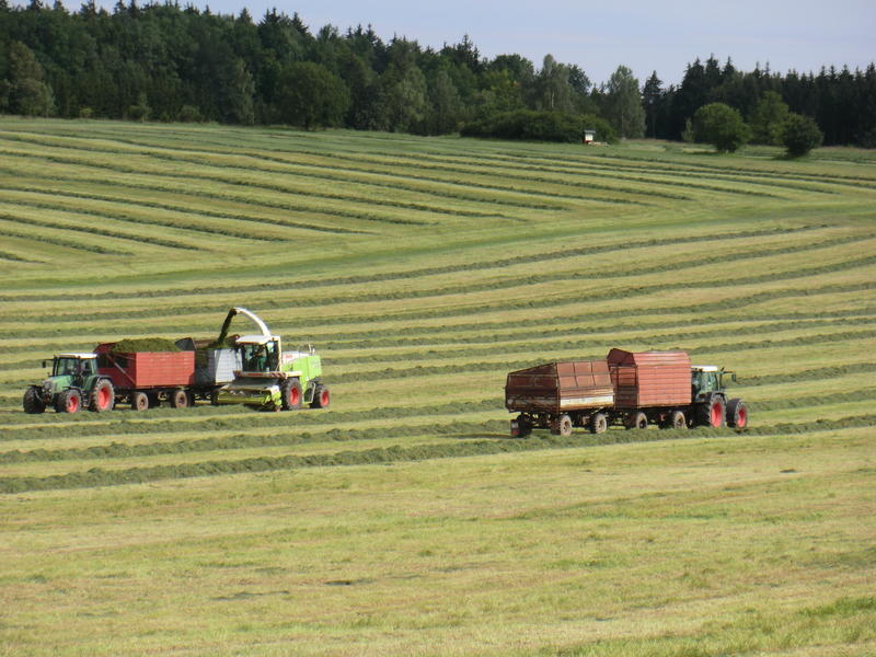 bilder/19_7_2011/CIMG3366.jpg