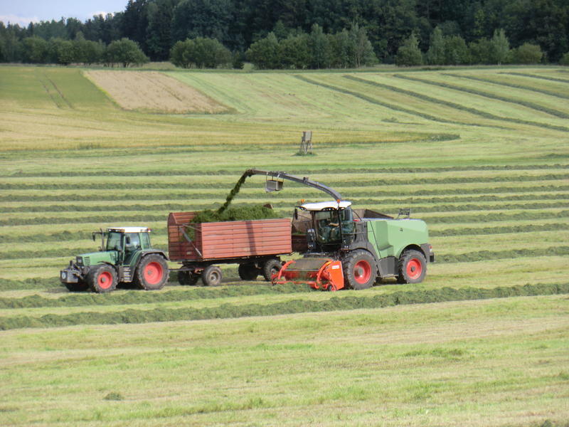 bilder/19_7_2011/CIMG3371.jpg