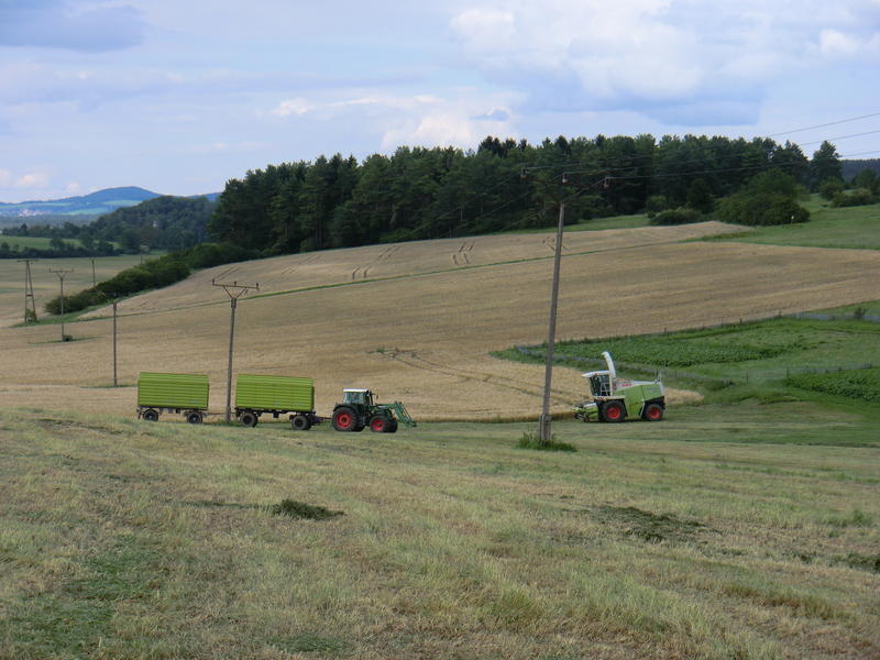 bilder/26_4_2002/zt_303_+_zt_323.jpg