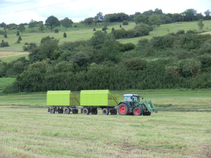 bilder/19_7_2011/CIMG3379.jpg
