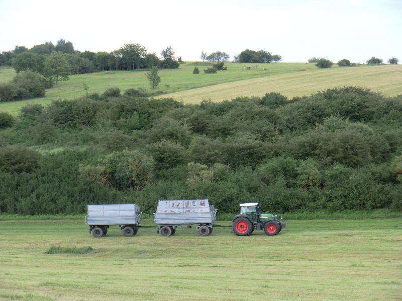 bilder/19_7_2011/CIMG3399.jpg