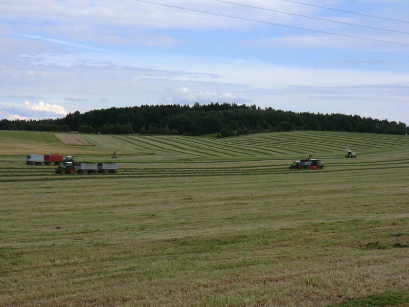 bilder/19_7_2011/CIMG3406.jpg