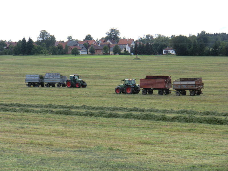 CIMG3415.jpg