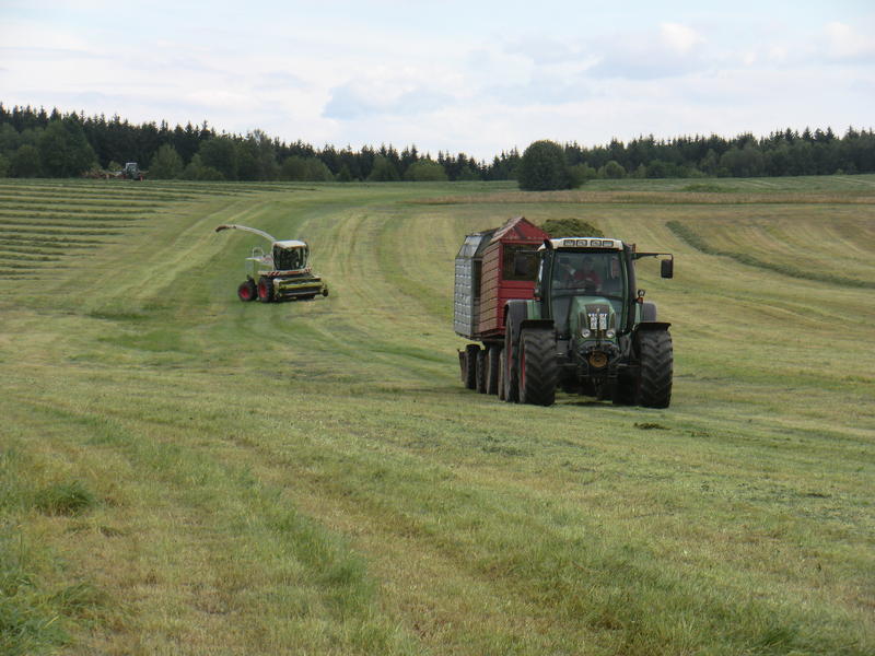 bilder/19_7_2011/CIMG3428.jpg