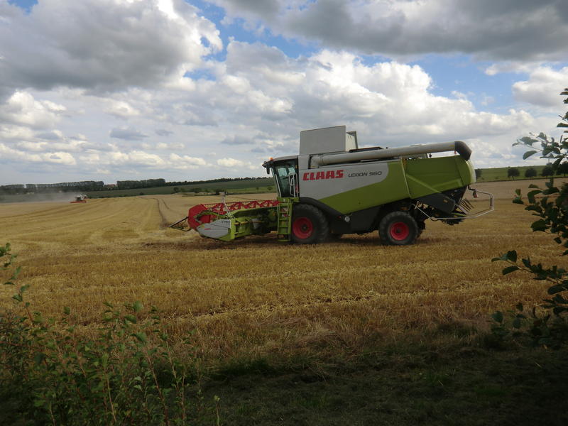 CIMG9698.jpg