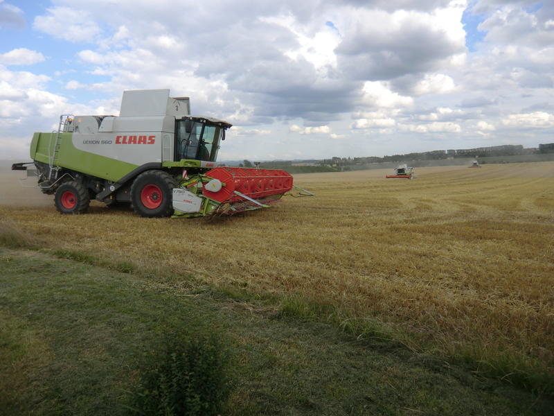 bilder/19_7_2012/CIMG9704.jpg
