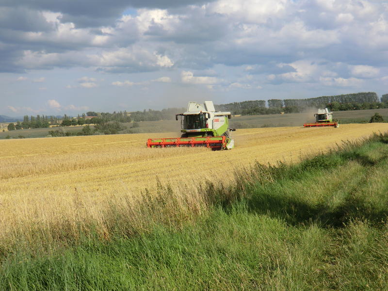 bilder/9_6_2014/CIMG3258.jpg