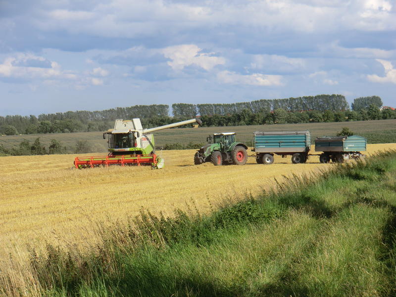bilder/19_7_2012/CIMG9713.jpg