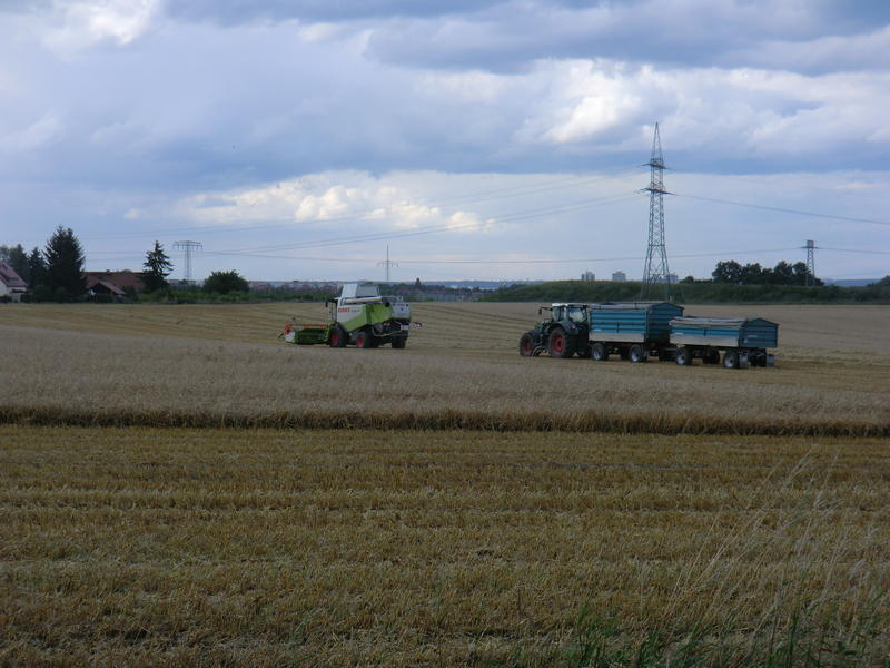 bilder/14_10_2013/CIMG0316.jpg