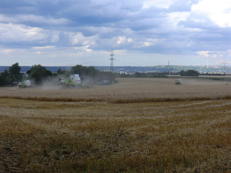 CIMG9720.jpg