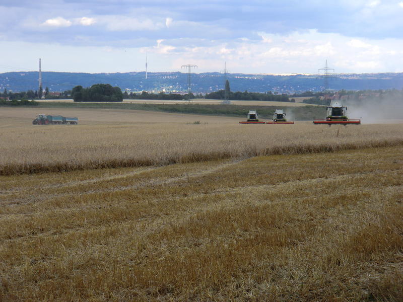 bilder/2023_05_05/DSC04765.jpg