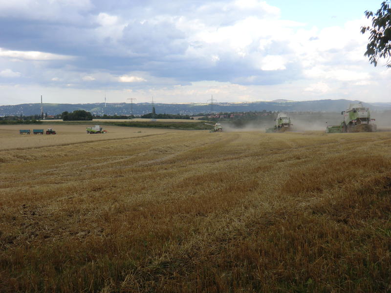 bilder/19_7_2012/CIMG9739.jpg
