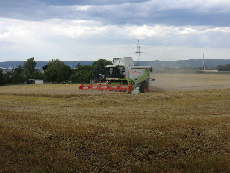 CIMG9743.jpg