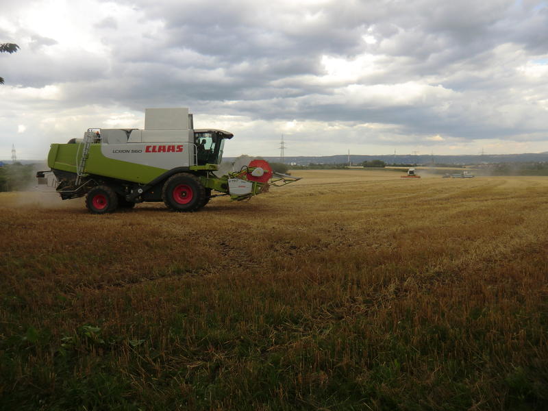bilder/19_7_2012/CIMG9744.jpg