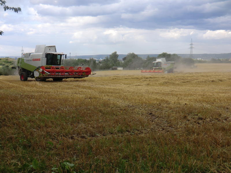 bilder/19_7_2012/CIMG9749.jpg