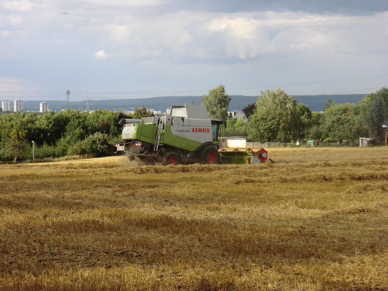 CIMG9751.jpg