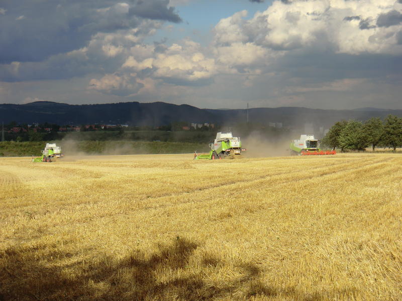 bilder/19_7_2012/CIMG9753.jpg