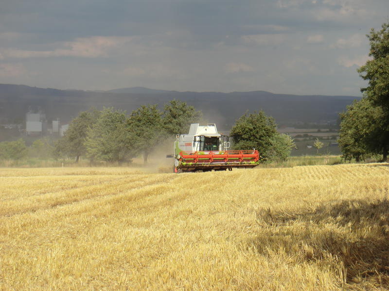 bilder/19_7_2012/CIMG9754.jpg