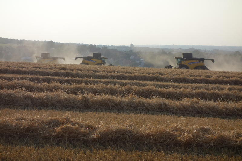 bilder/6_8_2002_2/fendt_716_10.jpg