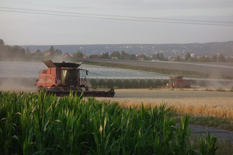 bilder/11_8_2012_3/CIMG0057.jpg